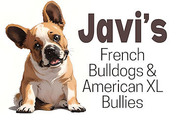 Javi’s French & XL Bullies Breeder Logo