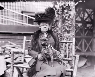 Mrs. E.L. Pulsifer and her French Bulldog, Maurice, in 1905 (via Library of Congress) - Javi’s French Bulldog Learning Center